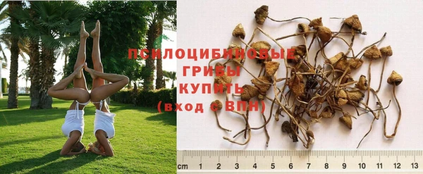каннабис Мегион
