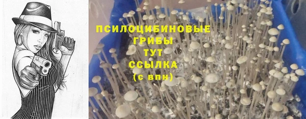 скорость mdpv Медвежьегорск