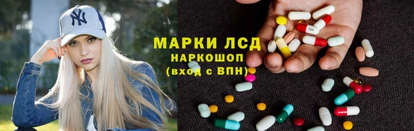 ГАЛЛЮЦИНОГЕННЫЕ ГРИБЫ Алексин